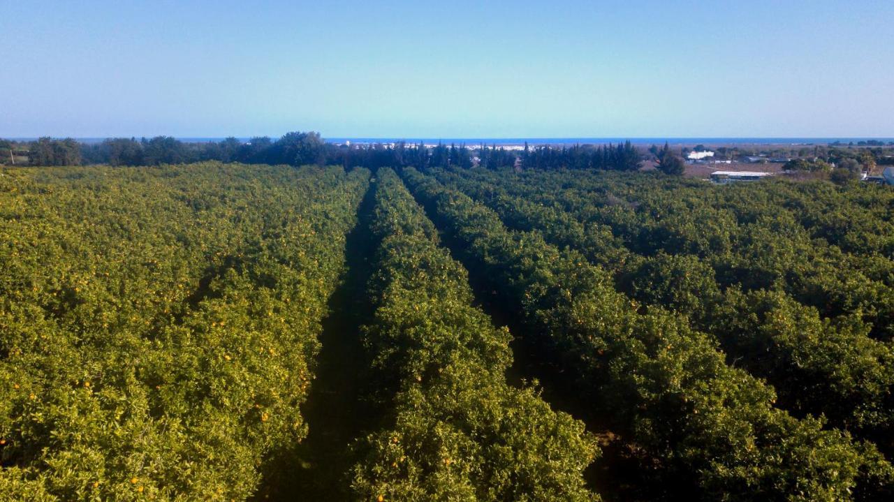 Quinta Da Pintassilga Villa Tavira Bagian luar foto